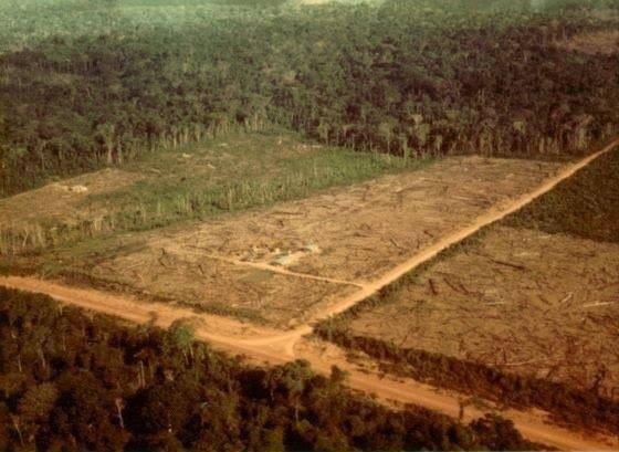 Foto: Reprodução/Associação Mato-grossense dos Municípios